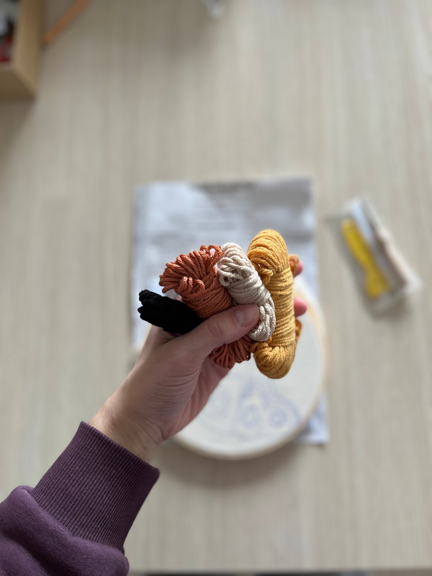 Punch Needle Kit: DIY Craft Kit for Beginners